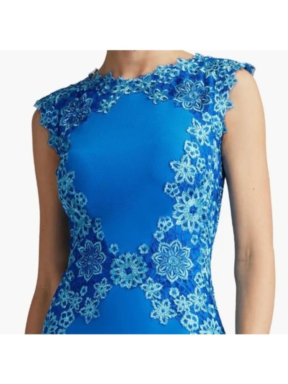 Tadashi Shoji Women's Floral Embroidered Lace Sleeveless Sheath Dress Size 4 - Picture 5 of 5